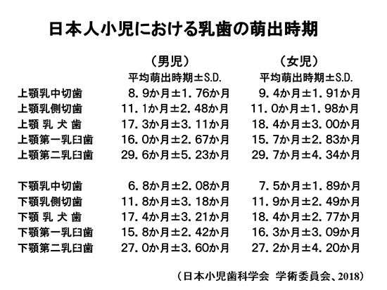 歯とお口のケア