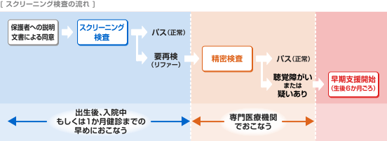 スクリーニング検査の流れ