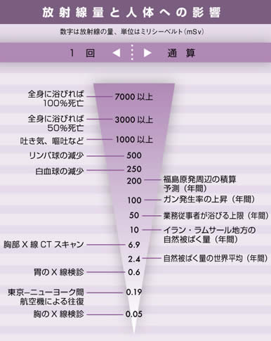 浴びた放射線の量により人体にどのような影響があるかを、1回浴びた場合と通算に分けて例示